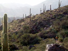 photo thumbnail #12