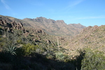 photo thumbnail #4