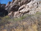 photo thumbnail #3