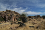 photo thumbnail #11