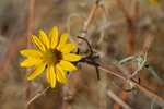 photo thumbnail #15