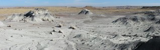 photo thumbnail #2