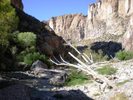 photo thumbnail #10