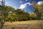 photo thumbnail #13