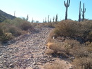 photo thumbnail #14