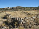 photo thumbnail #13