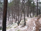 photo thumbnail #3