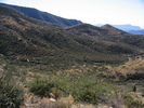 photo thumbnail #6