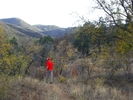 photo thumbnail #15