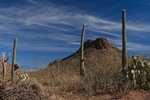 photo thumbnail #3