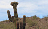 photo thumbnail #1
