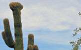 photo thumbnail #2