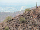 photo thumbnail #8