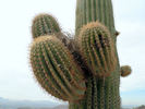 photo thumbnail #9