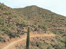 photo thumbnail #12