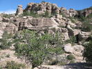 photo thumbnail #3
