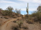 photo thumbnail #6