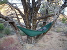 photo thumbnail #4