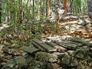 photo thumbnail #7