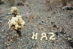 photo thumbnail #15