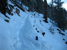 photo thumbnail #2