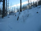 photo thumbnail #6