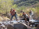 photo thumbnail #11