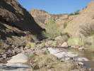 photo thumbnail #12