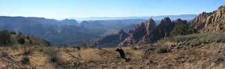 photo thumbnail #3