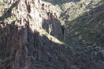 photo thumbnail #12