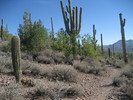photo thumbnail #14