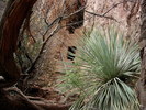 photo thumbnail #2