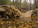 photo thumbnail #7