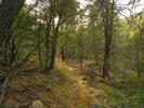 photo thumbnail #9