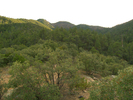 photo thumbnail #14