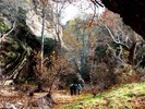 photo thumbnail #7