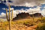 photo thumbnail #9