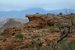 photo thumbnail #2