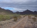photo thumbnail #2