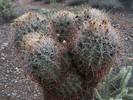 photo thumbnail #7