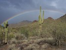 photo thumbnail #10