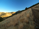 photo thumbnail #2