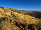 photo thumbnail #4