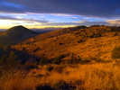photo thumbnail #11