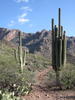 photo thumbnail #9
