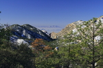 photo thumbnail #3