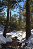 photo thumbnail #8