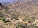 photo thumbnail #8