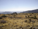 photo thumbnail #10