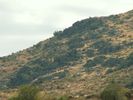 photo thumbnail #13